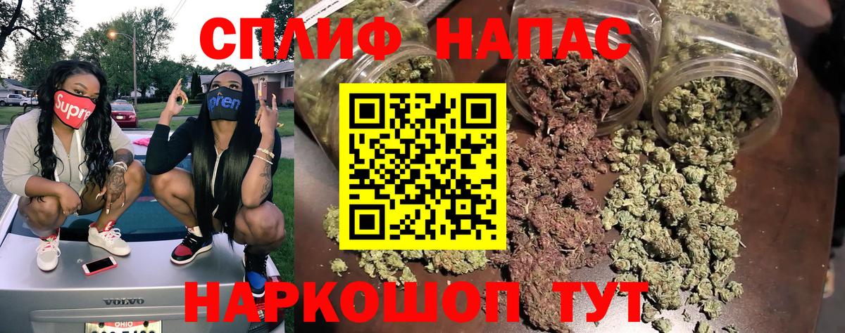 Канабис планчик Кыштым